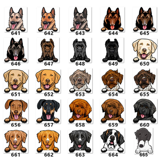 Personalized Pet Toy Basket Anodic Products