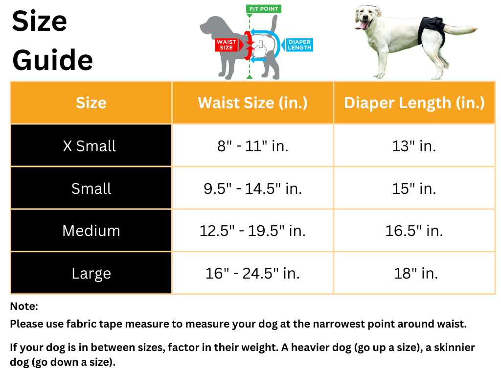 ChicPet Adjustable Doggy Diapers