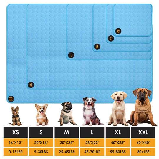 Pet collar size guide for dogs