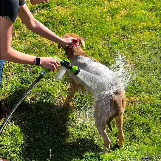 Dog spray bath for mess-free, stress-free washing.