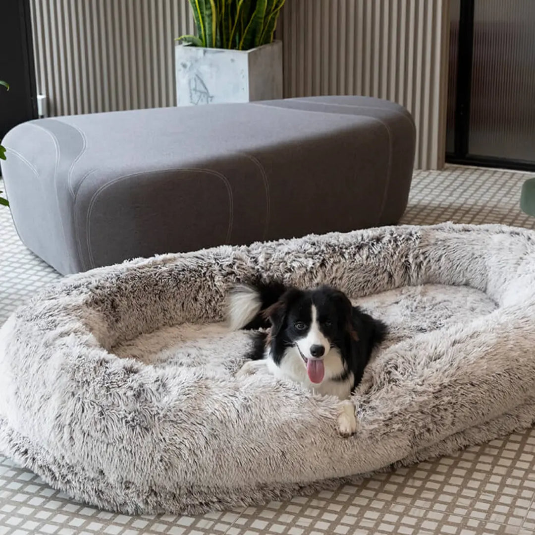 Dog bed