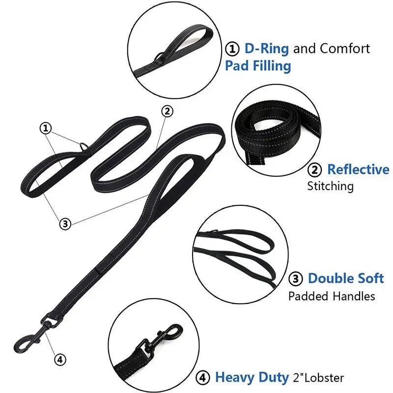 Dog leash with two handles for better control in crowded areas.

