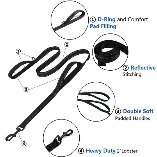 Dog leash with two handles for better control in crowded areas.

