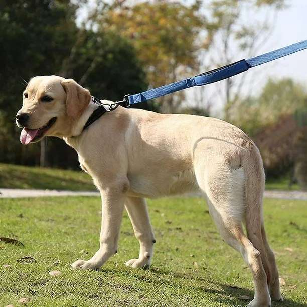 Heavy Duty Double Handle Dog Leash