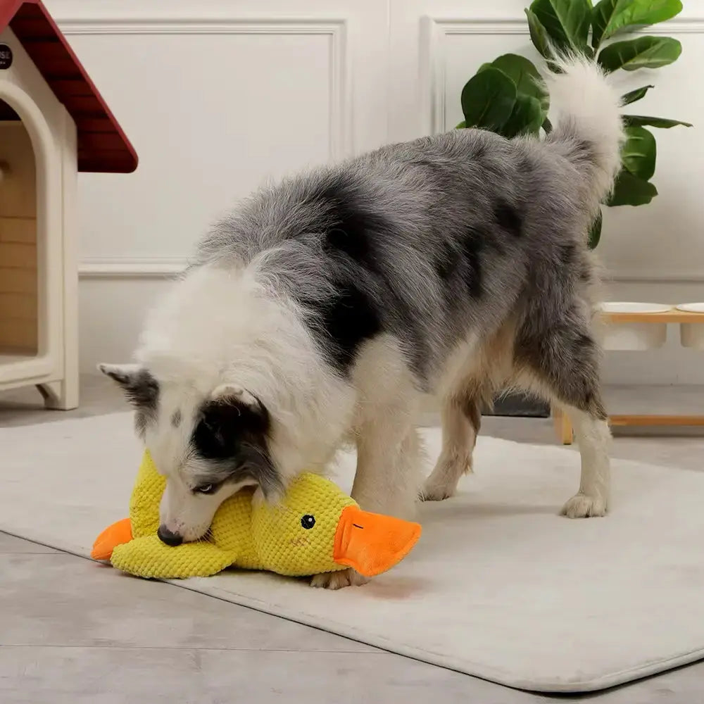 Stress-relieving duck chew toy