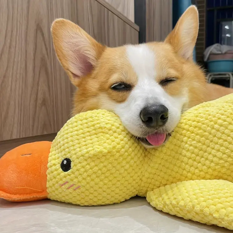 Durable Tough Duck Calming Chew Toy