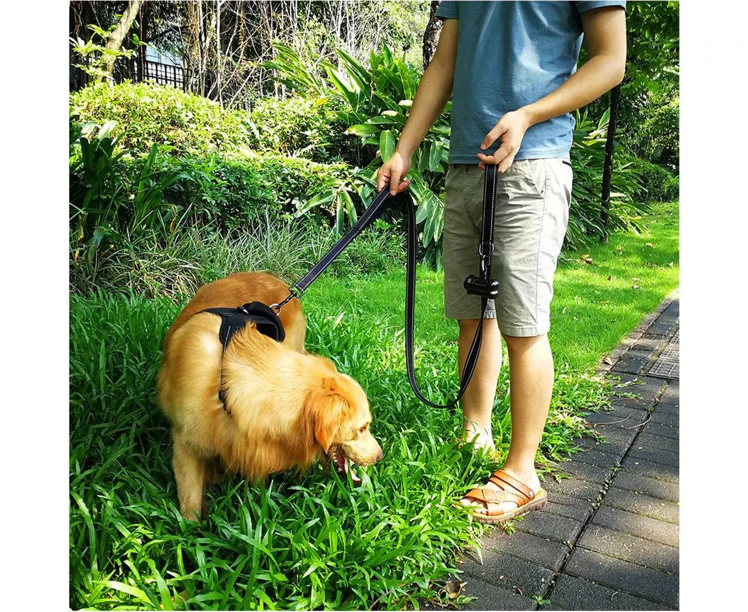Dual-handle dog leash made from durable, weather-resistant materials.

