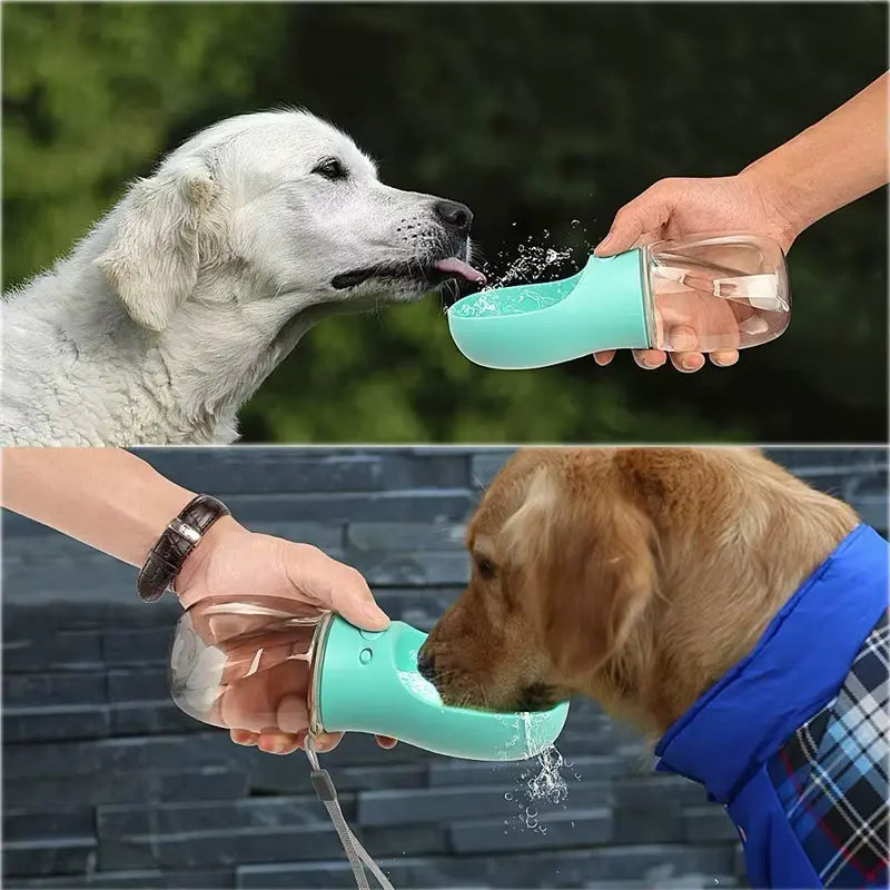 Dog drinking from portable water bottle outdoors