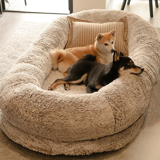 Comfortable bed for pets and owners