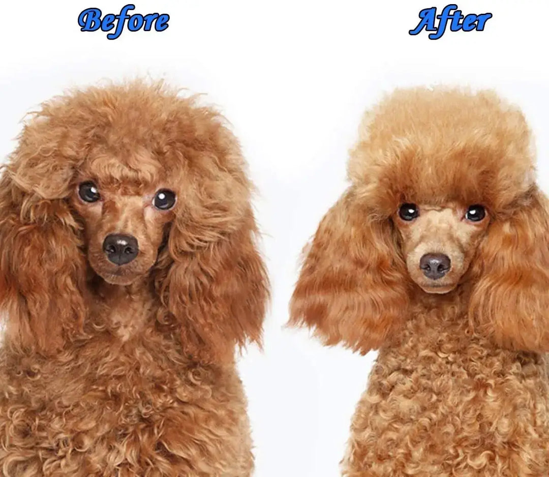 Dual brush for thick pet coats