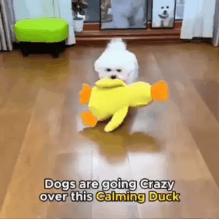 Duck Calming Toy