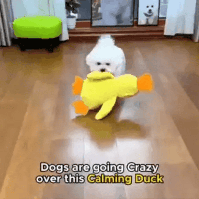 Duck Calming Toy