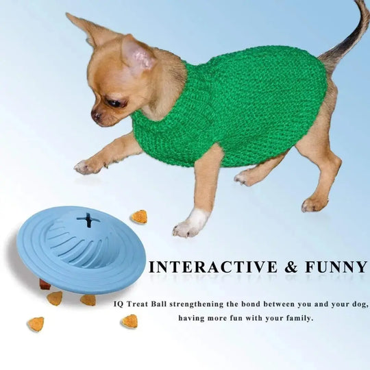 Tough flying treat toy for active dogs