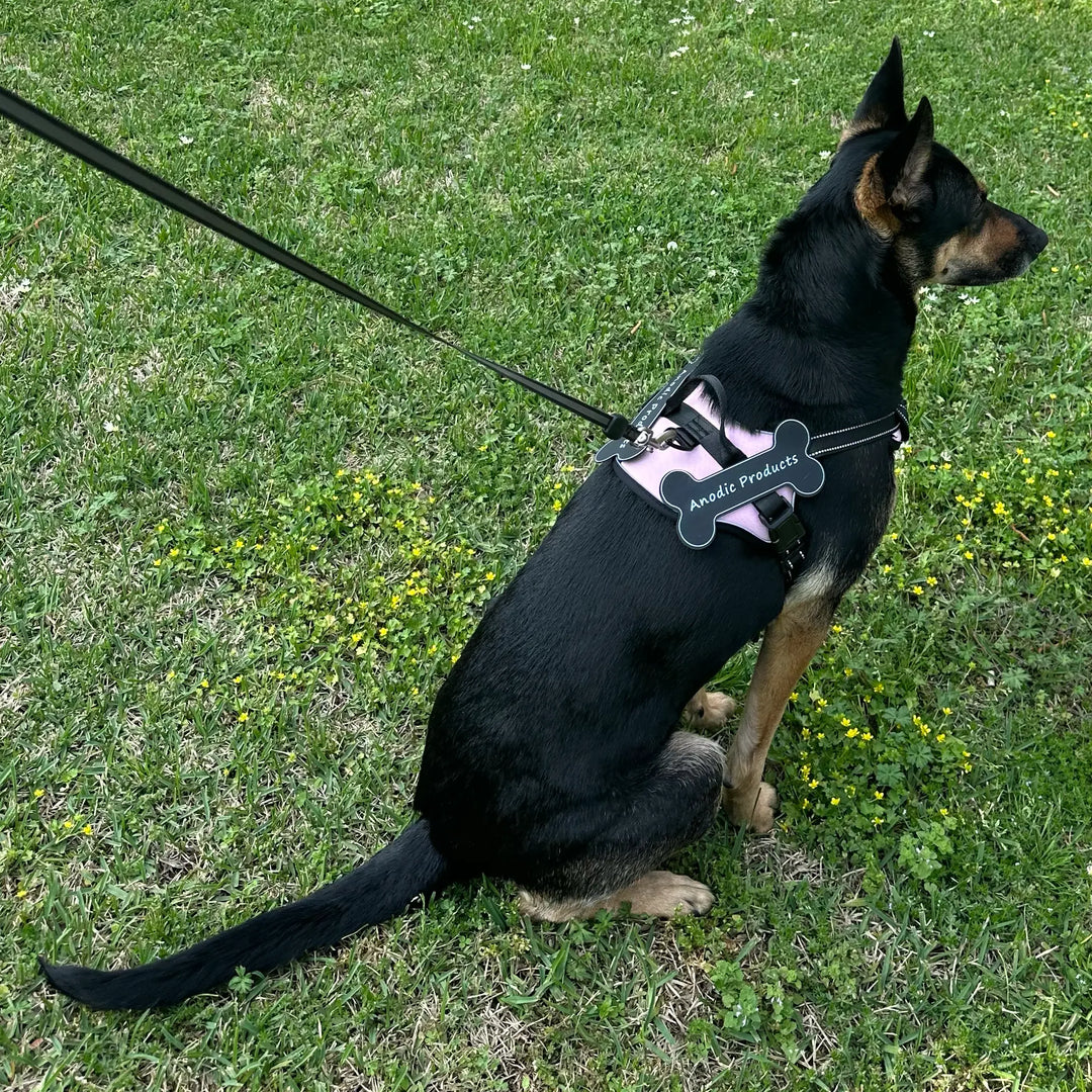 best harness for dogs
personalized velcro patches for dog harness
best dog harness
best dog harness for walking