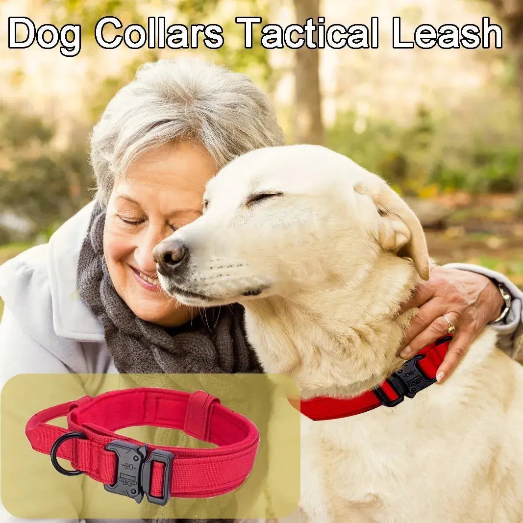 Durable dog collar designed for patrol and service dogs