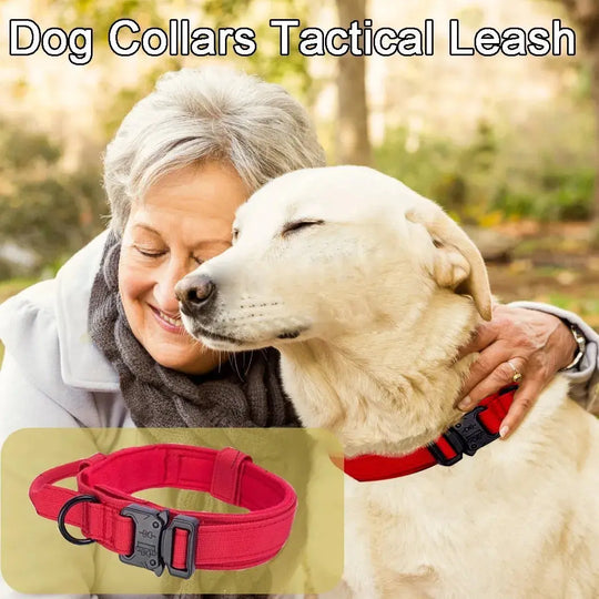 Durable dog collar designed for patrol and service dogs