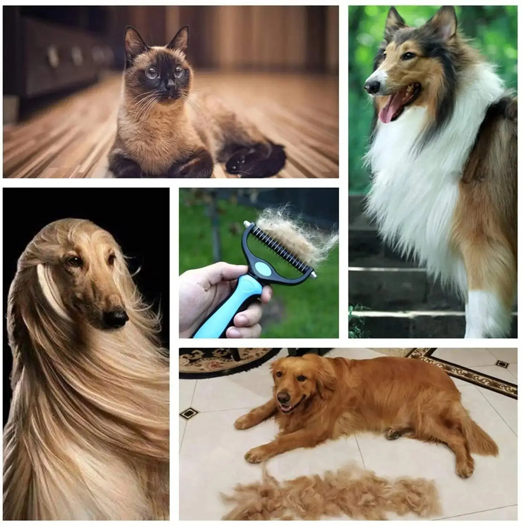 Daily use double sided pet brush