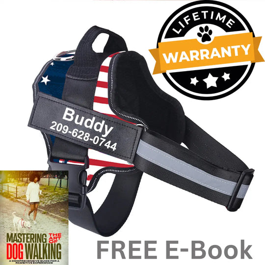 flag no pull dog harness