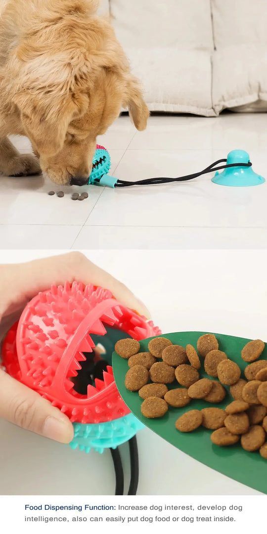 dog tug toy that holds food for interactive chewing