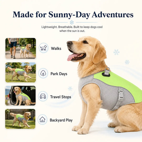 Summer Dog Cooling Vest