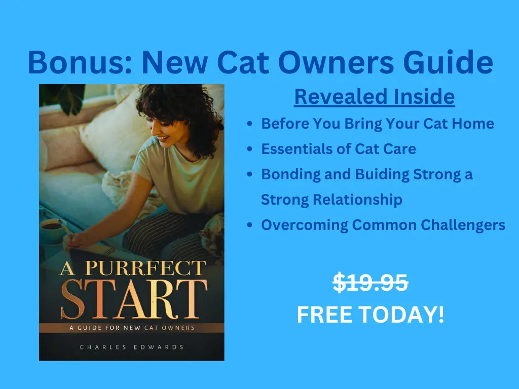 Ergonomic Cat Water Fountain Suggested by Vets

