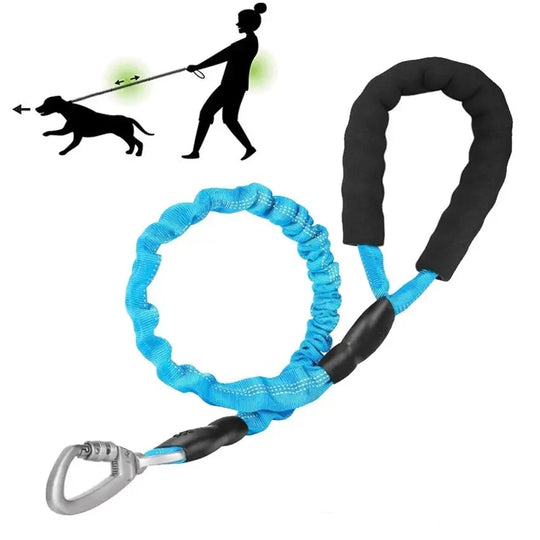 Reflective dog leash for safe nighttime walks