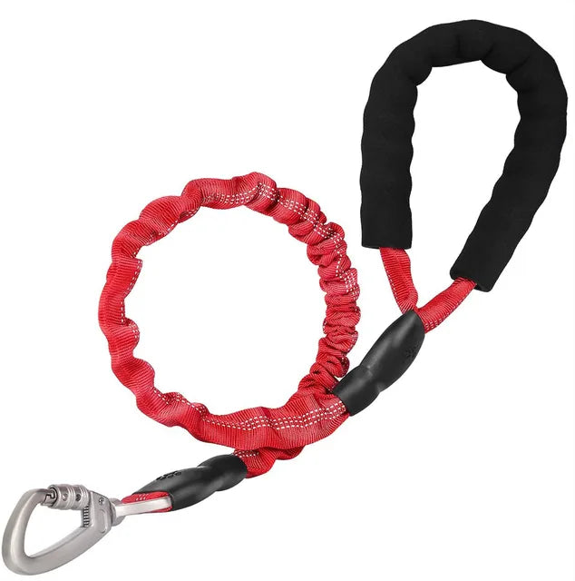	Glow-in-the-dark leash for active evening walks