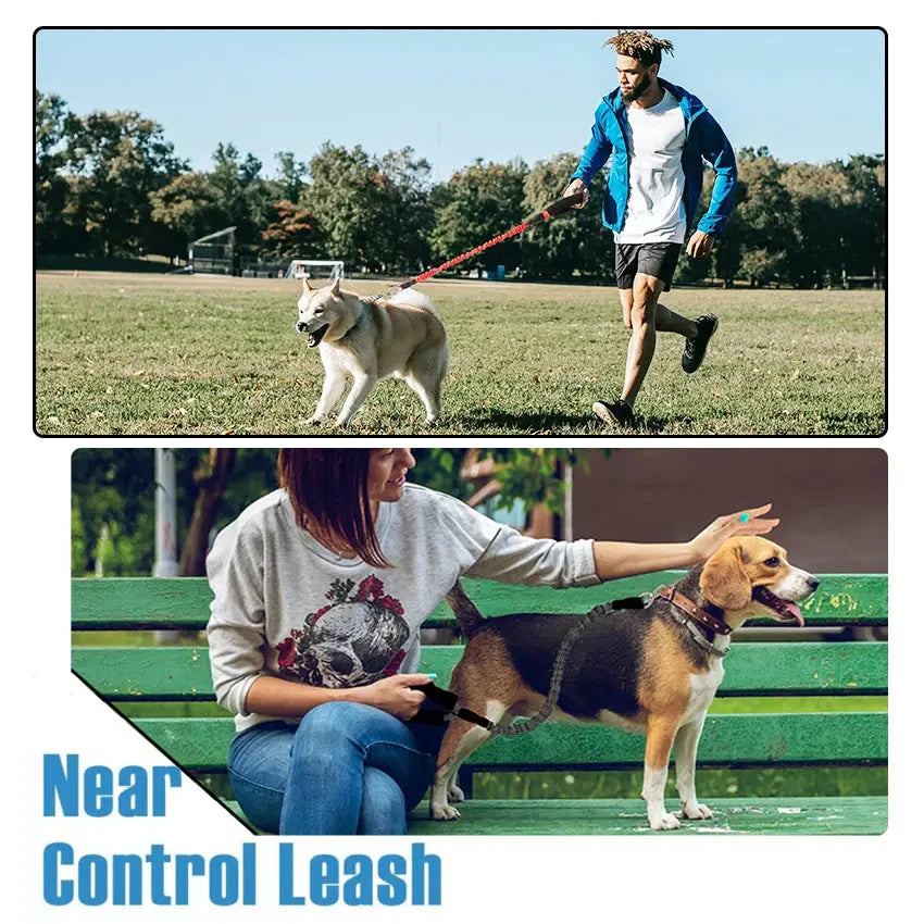 Bright reflective leash for nighttime runs and early morning walks
