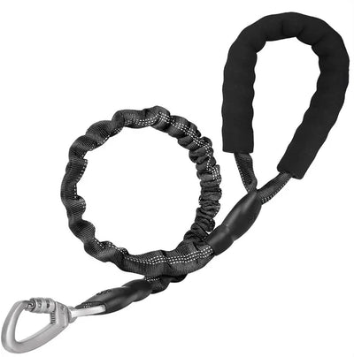 Bright reflective leash for nighttime runs and early morning walks
