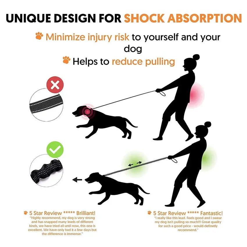 Durable dog leash with high-visibility reflective stitching