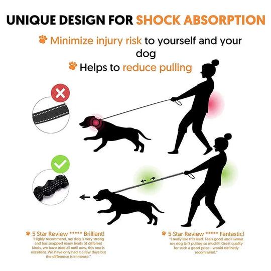 Durable dog leash with high-visibility reflective stitching
