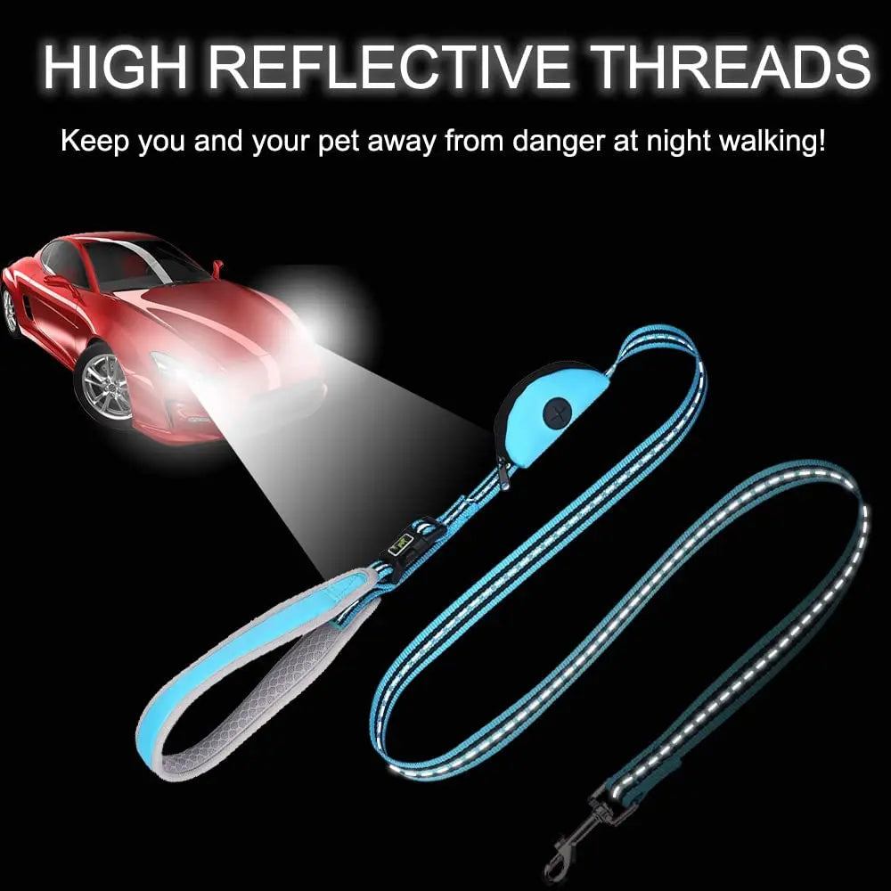 High-visibility leash for dogs with reflective stitching