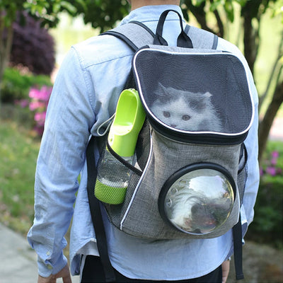 Easy-carry bowls for pets on the go