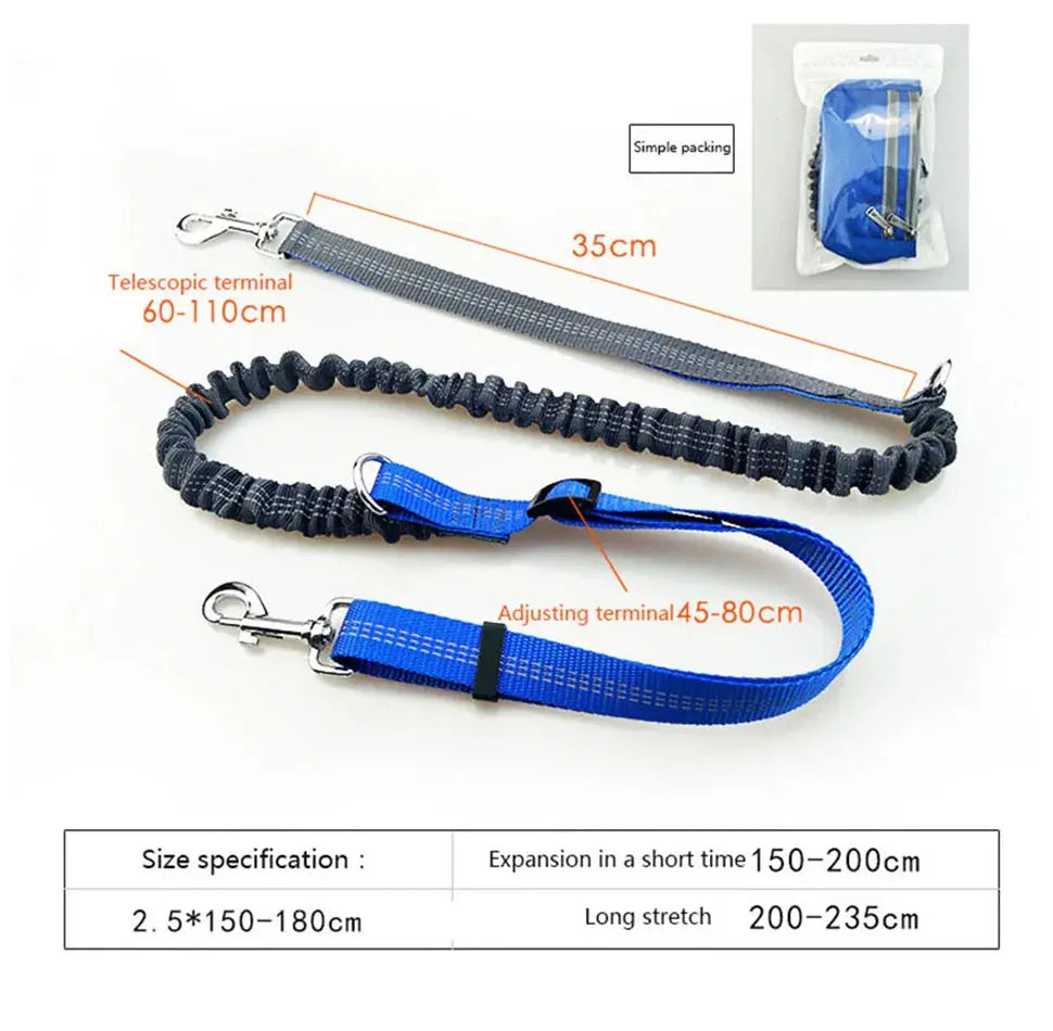 Secure waist leash for walking dogs