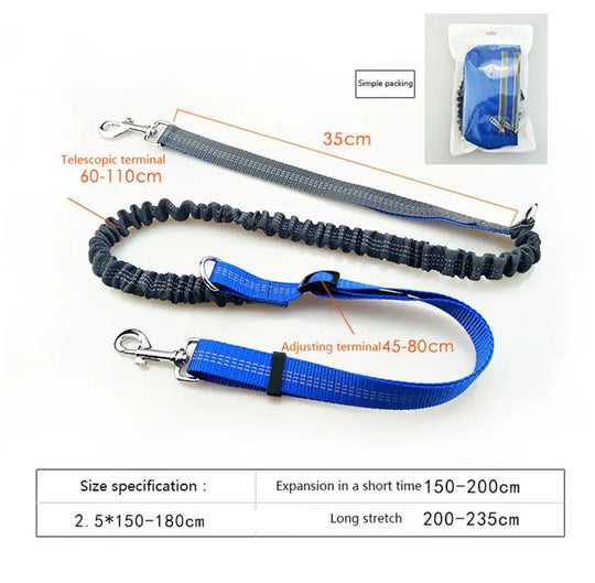 Secure waist leash for walking dogs