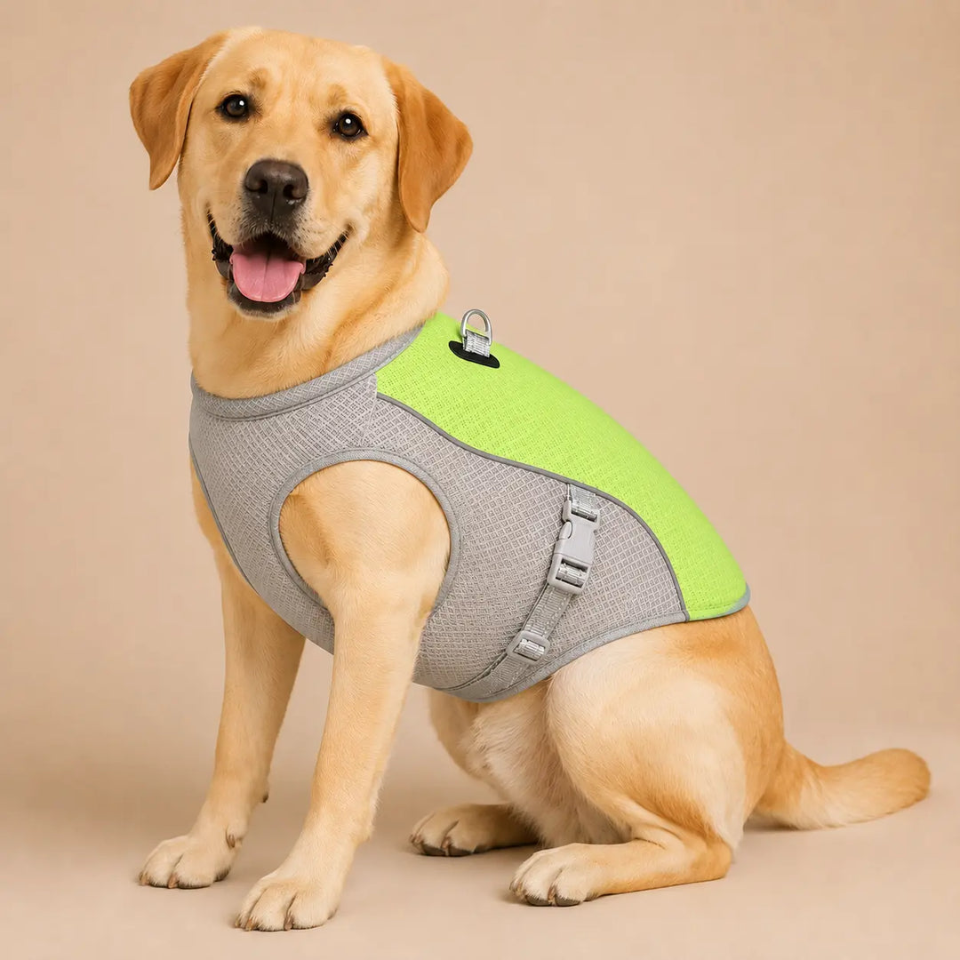 Summer Dog Cooling Vest