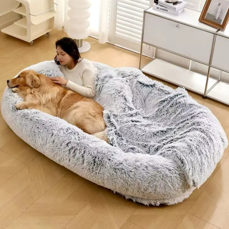 Best human and pet lounger bed for relaxation and comfort