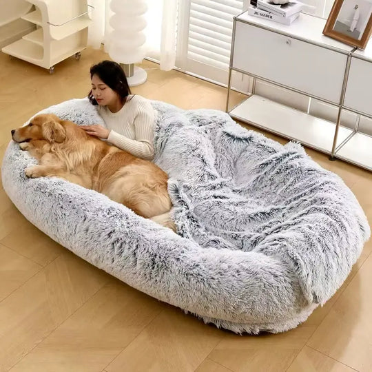 Best human and pet lounger bed for relaxation and comfort