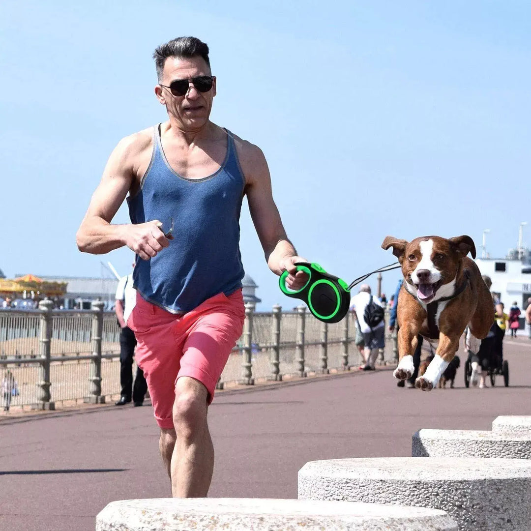 Retractable dog leash that automatically extends and retracts for easy control.

