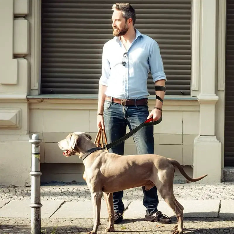 Two-handle heavy duty leash offering close and extended control.

