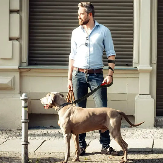 Two-handle heavy duty leash offering close and extended control.

