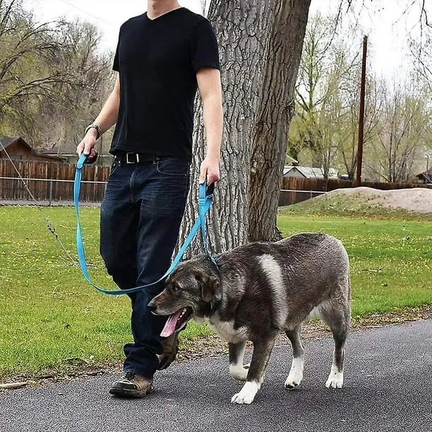 Durable double handle leash with reflective stitching for night walks.

