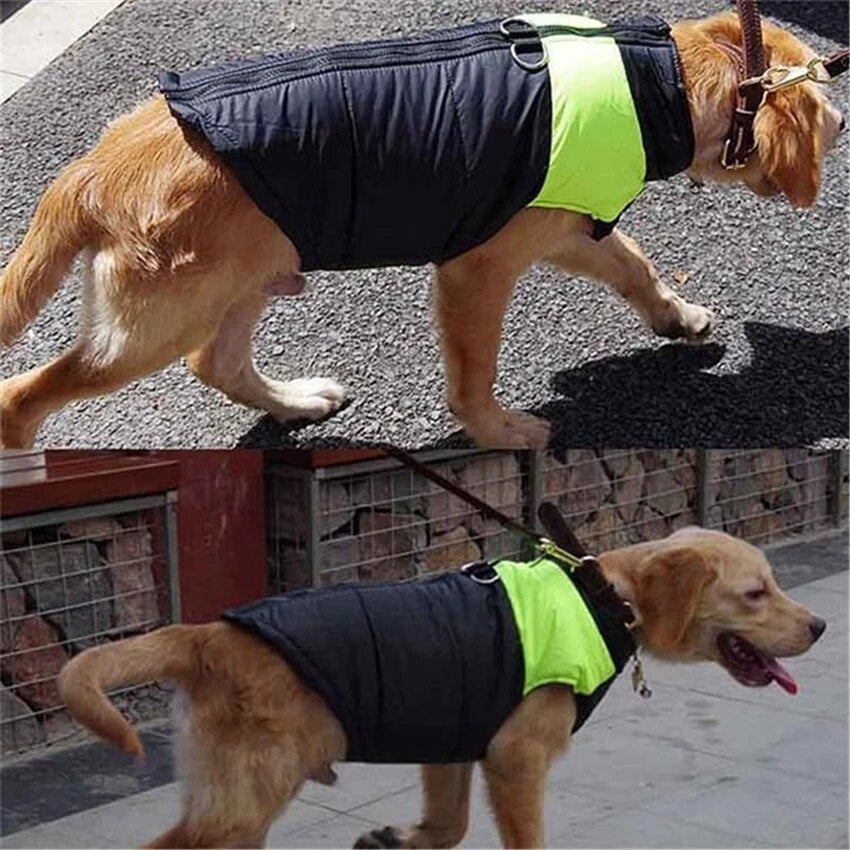 CozyCanine Winter Dog Vest