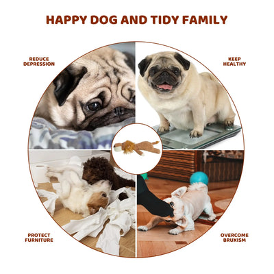 Fun play toy for all dogs