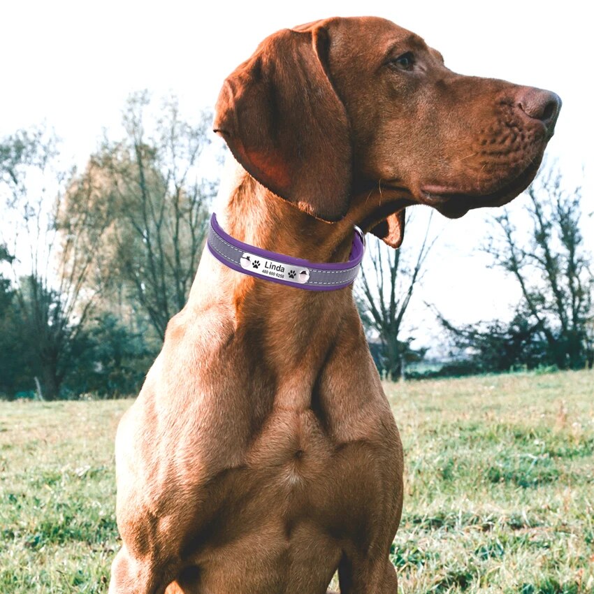 Personalized Leather Reflective Dog Collar
