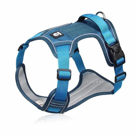 High visibility dog harness with reflective features.