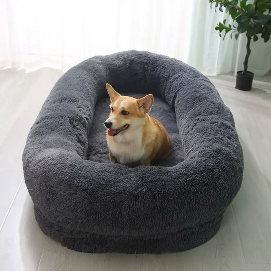 Dark grey bed for dogs, best bed for dogs, best dog beds for puppies, best dog beds for bedroom