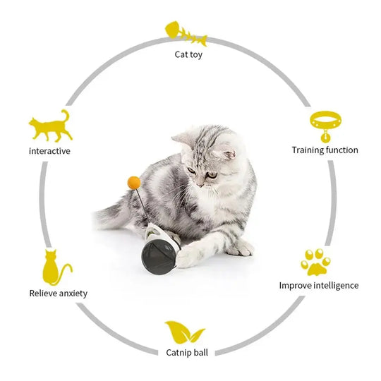 Smart toy ball with unpredictable rolling patterns