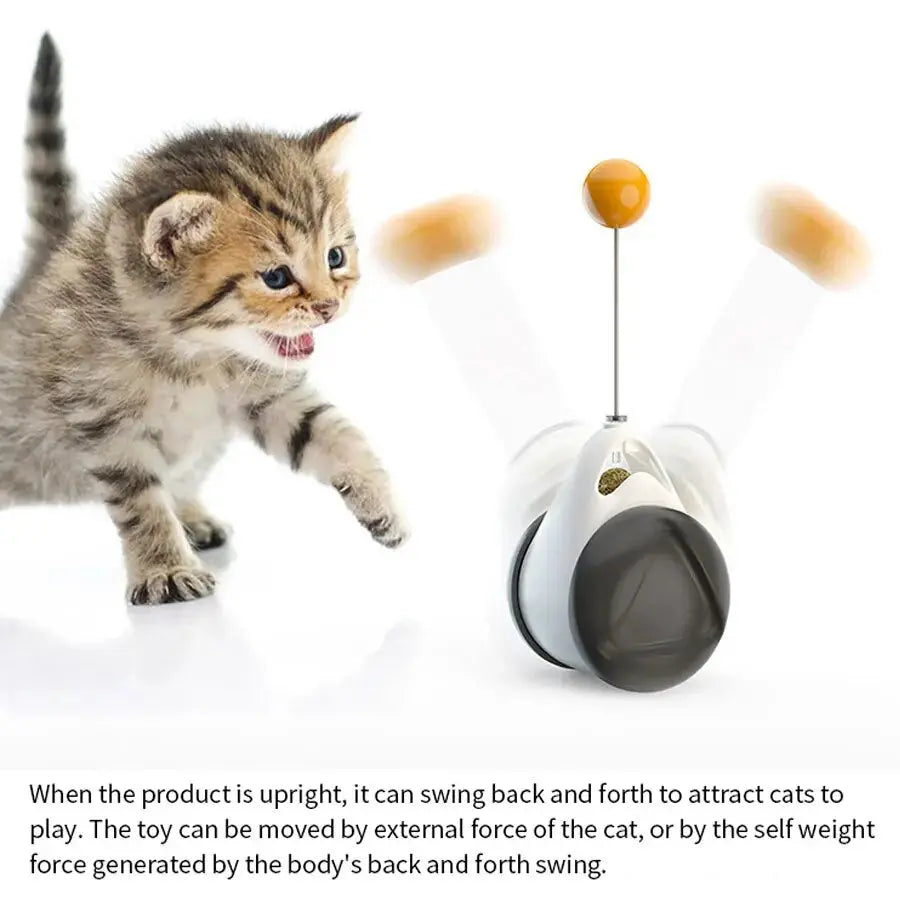 Self-rolling interactive toy ball for pets