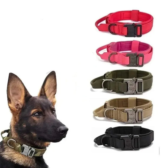Strong K9 collar with handle